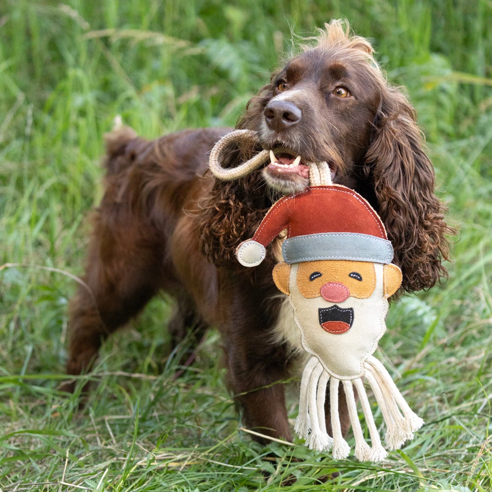 Benji &amp; Flo Christmas Dog Toys image 6